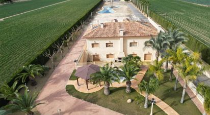 Casa rústica 5 habitacions de 578 m² a Aspe (03680)