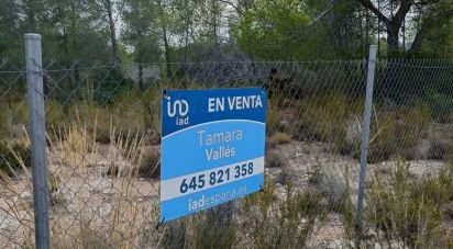 Terrain de 15 000 m² à L'Ametlla de Mar (43860)