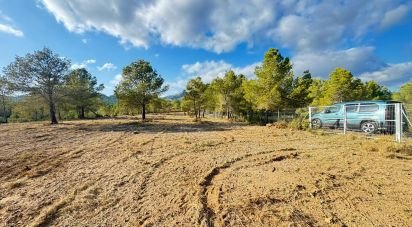 Terrain de 15 000 m² à L'Ametlla de Mar (43860)