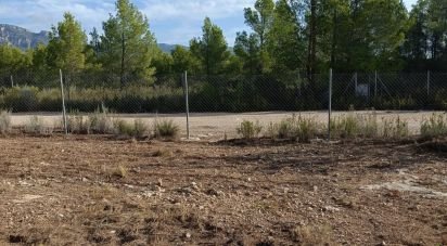 Terrain de 15 000 m² à L'Ametlla de Mar (43860)
