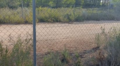 Terrain de 15 000 m² à L'Ametlla de Mar (43860)