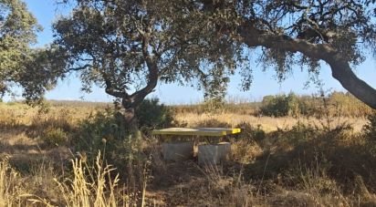 Terreny de 9.332 m² a Villablanca (21590)