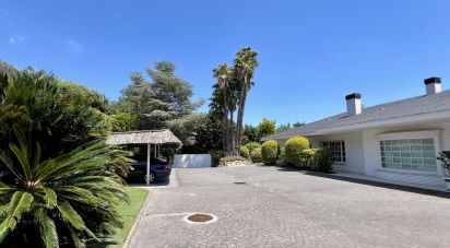 House 8 bedrooms of 885 m² in Sant Vicenç de Montalt (08394)