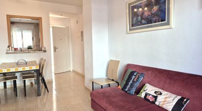 Piso 2 habitaciones de 54 m² en Oropesa/Oropesa del Mar (12594)