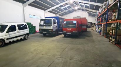 Immeuble de 443 m² à Sahagún (24320)