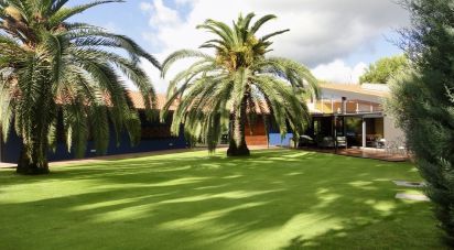 House 7 bedrooms of 738 m² in Sant Vicenç de Montalt (08394)