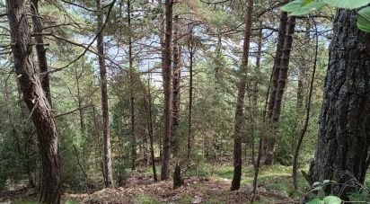 Terrain à bâtir de 1 600 m² à La Coma (25284)