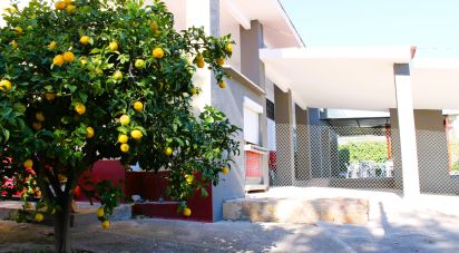 Maison 7 chambres de 392 m² à La Bisbal del Penedès (43717)