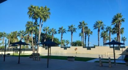 Piso 2 habitaciones de 161 m² en Oropesa/Oropesa del Mar (12594)