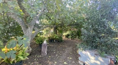 Casa rústica 4 habitacions de 300 m² a Chiclana de la Frontera (11130)