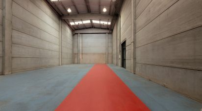 Murs commerciaux de 1 128 m² à Cervelló (08758)