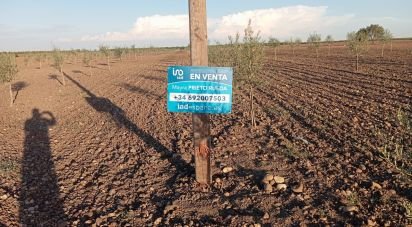 Terreno agricola de 50.000 m² en Cañada Rosal (41439)
