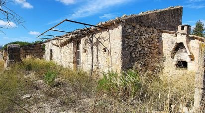 Terrain de 14 060 m² à Sineu (07510)