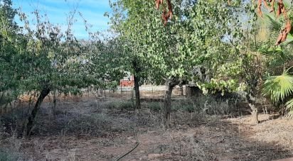 Farm land of 9,850 m² in Las Navas de Las Concepcion (41460)