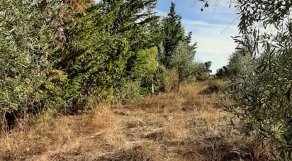 Farm land of 9,850 m² in Las Navas de Las Concepcion (41460)