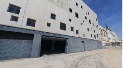 Botiga / Local comercial de 5.000 m² a Elx/Elche (03206)