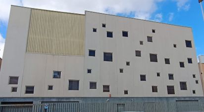 Botiga / Local comercial de 5.000 m² a Elx/Elche (03206)