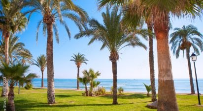 Piso 2 habitaciones de 161 m² en Oropesa/Oropesa del Mar (12594)