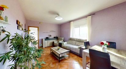 Maison 3 chambres de 144 m² à La Bisbal del Penedès (43717)