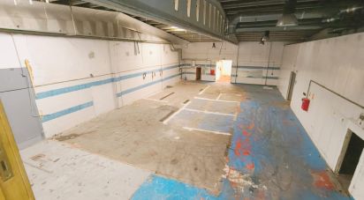 Boutique/Local commercial de 1 044 m² à Vinyols i els Arcs (43391)