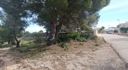 Terrain de 800 m² à L'Ametlla de Mar (43860)