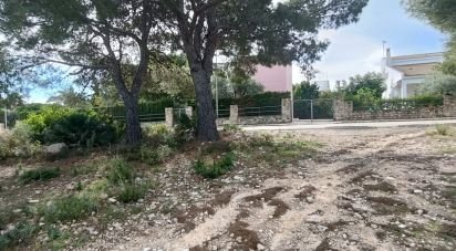 Terrain de 800 m² à L'Ametlla de Mar (43860)