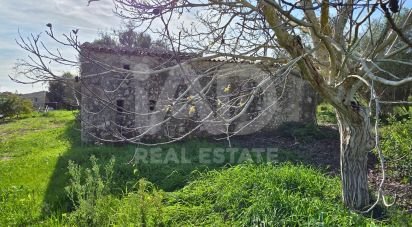 Terrain de 22 239 m² à Muro (07440)