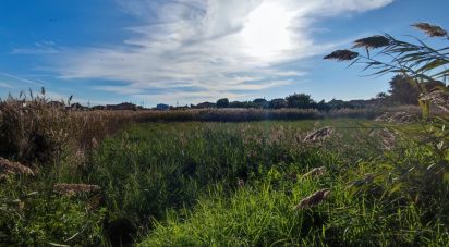 Terreno de 531 m² en Castellón de la Plana/Castelló de la Plana (12004)