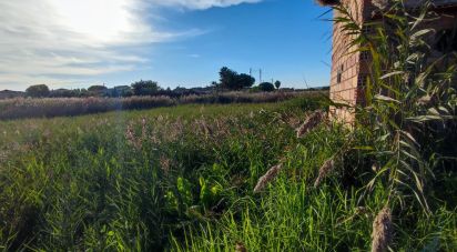 Terreno de 531 m² en Castellón de la Plana/Castelló de la Plana (12004)