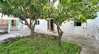 Apartment 7 bedrooms of 180 m² in Base Aeria de Pollença (07470)