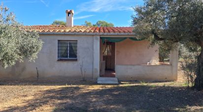 Terrain de 13 898 m² à Tivissa (43746)