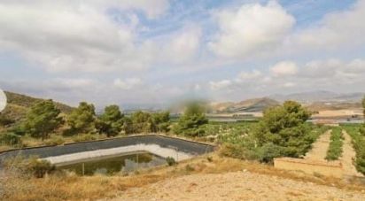 Terrain agricole de 38 740 m² à Alcanara (30813)