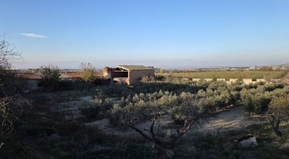Terrain de 6 260 m² à Vilagrassa (25330)