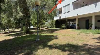 Piso 2 habitaciones de 95 m² en El Puerto de Santa María (11500)