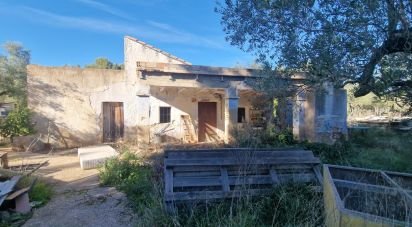 Maison 0 chambre de 198 m² à L'Ametlla de Mar (43860)