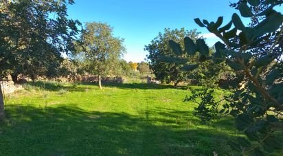 Terrain de 14 172 m² à Santa Margalida (07450)