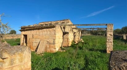 Terrain de 14 125 m² à Santa Margalida (07450)