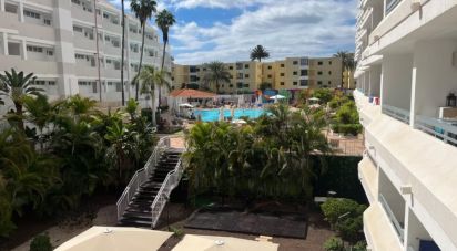 Apartment 1 bedroom of 64 m² in Cañon del Aguila (35100)