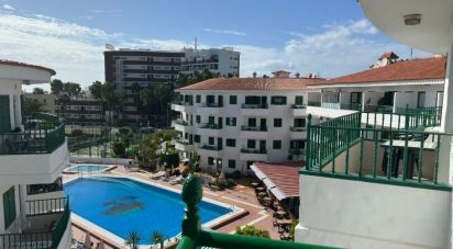 Apartment 1 bedroom of 40 m² in Cañon del Aguila (35100)