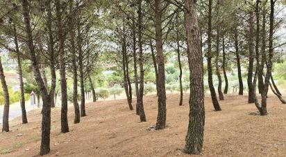 Terreno urbano de 2.162 m² en Colmenar de Oreja (28380)