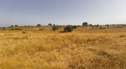 Terreny de 26.931 m² a Villablanca (21590)