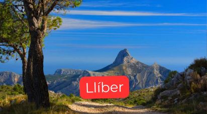 Gîte 1 chambre de 105 m² à Llíber (03729)